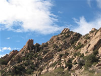 Arizona